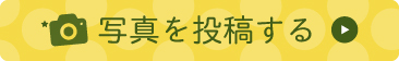 レシピを応募する